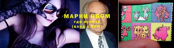 стаф Балахна
