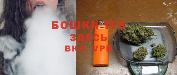 стаф Балахна