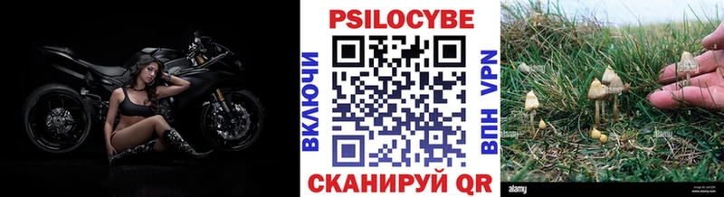 Псилоцибиновые грибы MAGIC MUSHROOMS  Волоколамск 